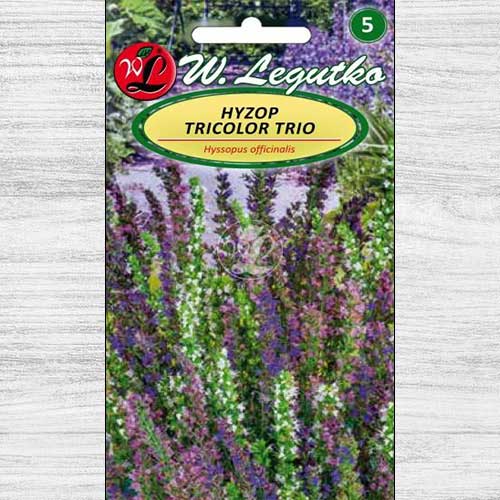 1 szt, Hyzop lekarski Tricolor Trio, mieszanka - Nasiona: Ilość w opakowaniu: 0.1 g