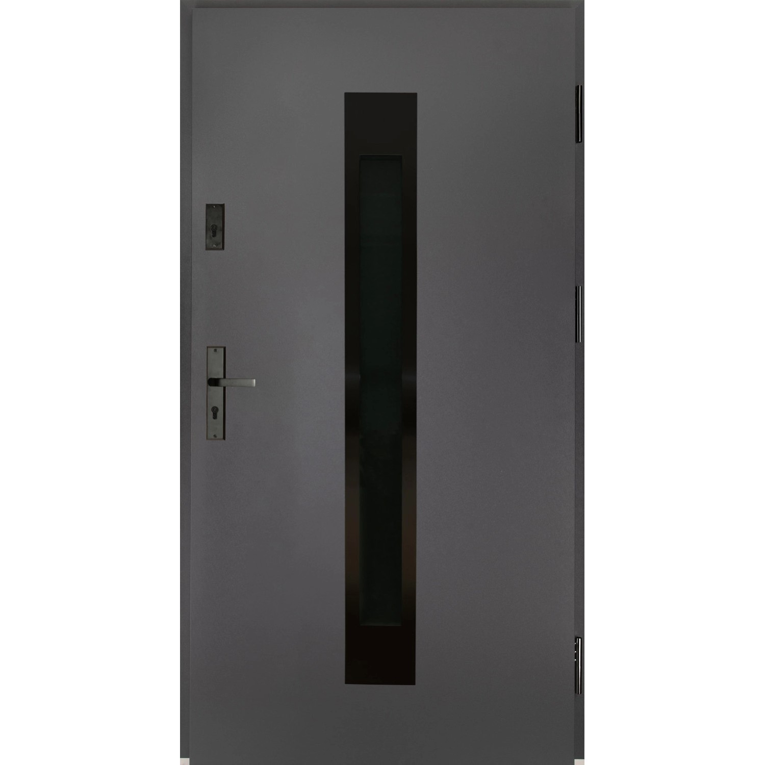Drzwi zewnętrzne Satis black antra otwierane otwierane na zewnątrz 90P