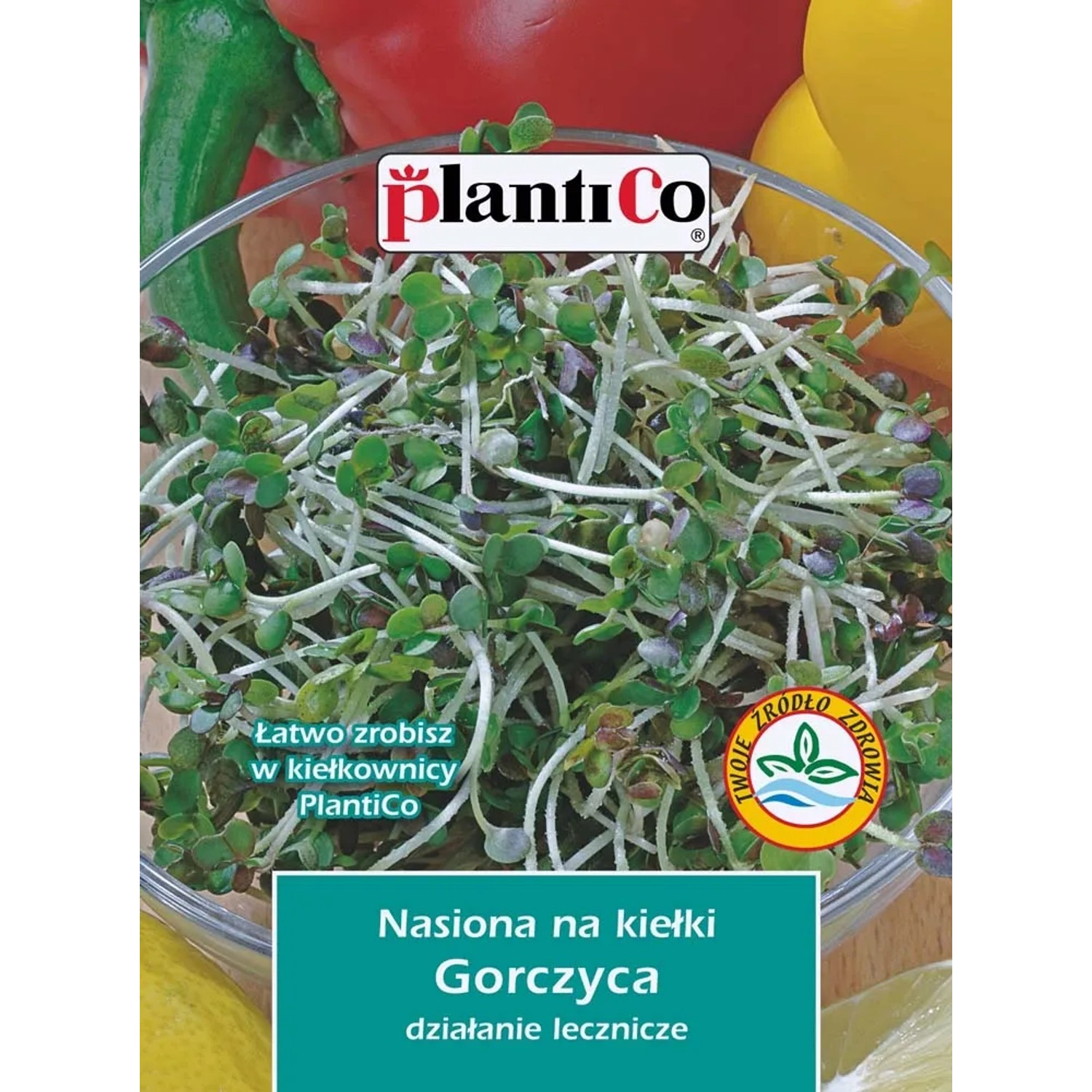 Nasiona na Kiełki gorczycy