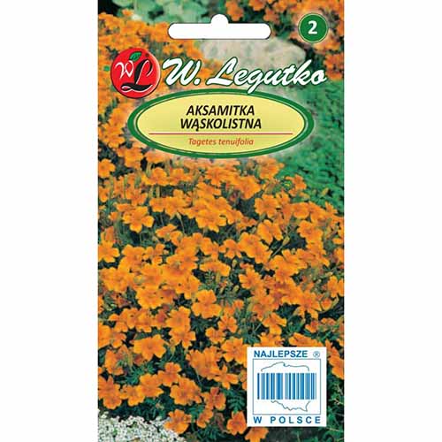 1 pac, Crăițe Orange Gem - Semințe: Mod de ambalare: 0.3 g