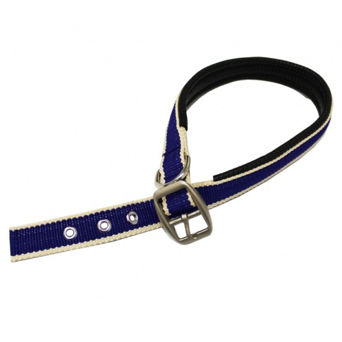 Horseware obroża dla psa Amigo 24h