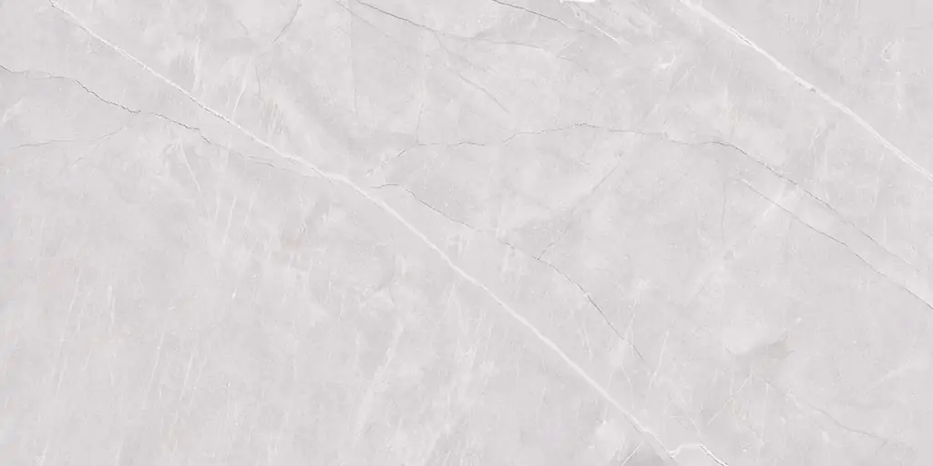 Ceramstic Tigrina płytka ścienno-podłogowa 120x60 cm szara