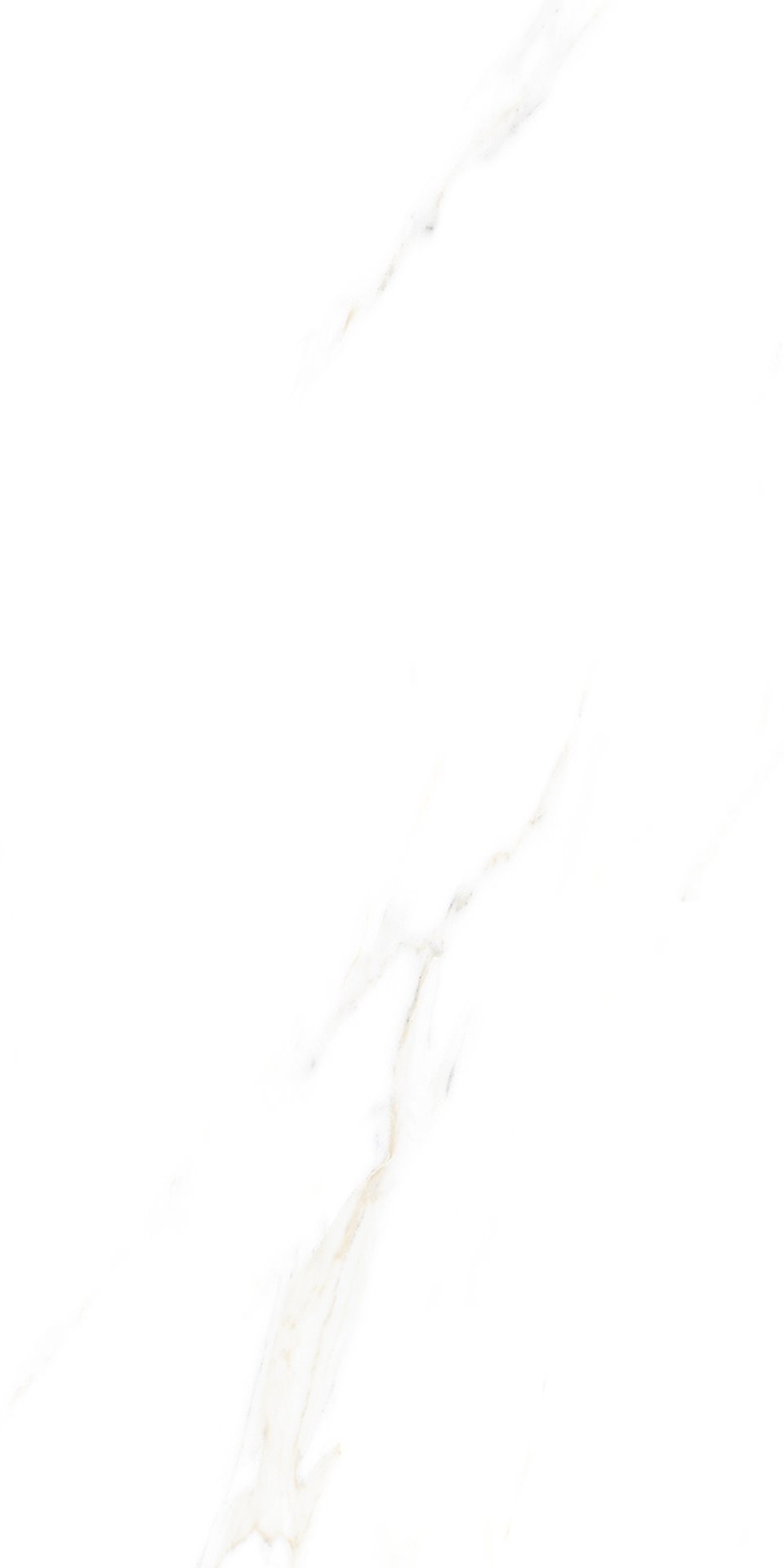 IPC Alaves White Matt płytka ścienno-podłogowa 120x60 cm biała