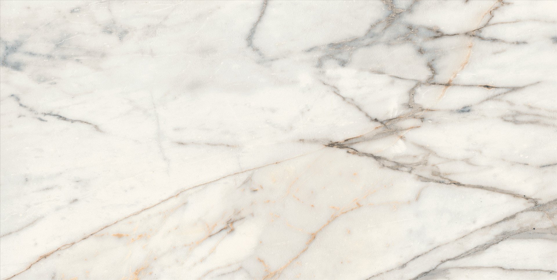 Marazzi Fabula Golden płytka ścienno-podłogowa 120x60 cm biała