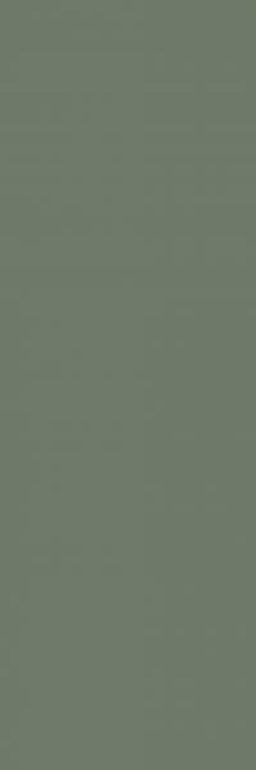 Paradyż Nightwish Green płytka ścienna 25x75 cm