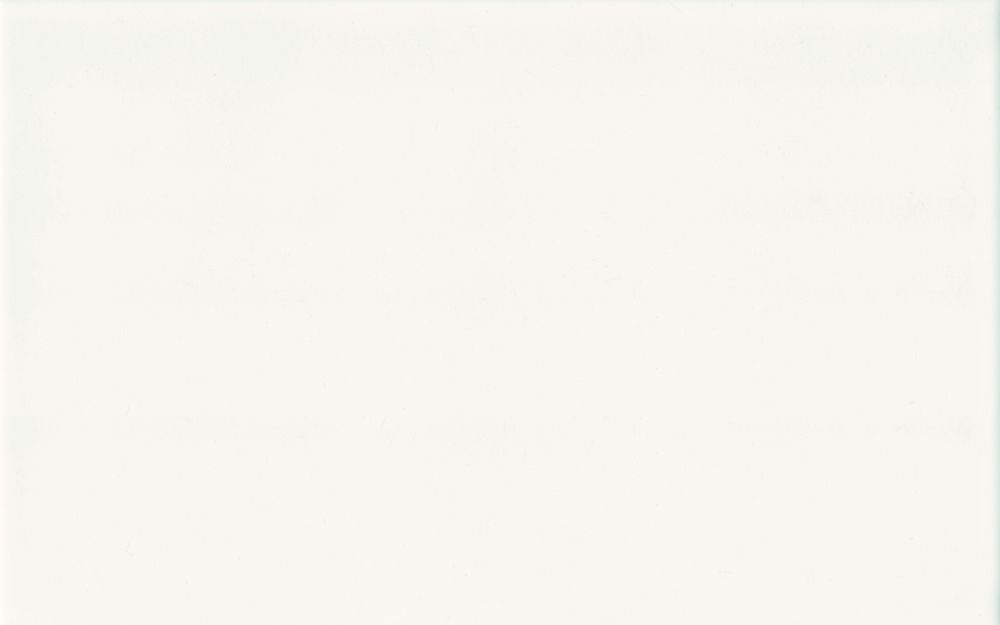 Ceramika Color Nero płytka ścienna 25x40 cm biały połysk