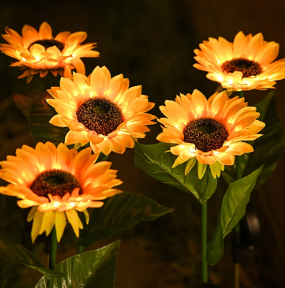 Lampa słonecznik zewnetrzna LED solar