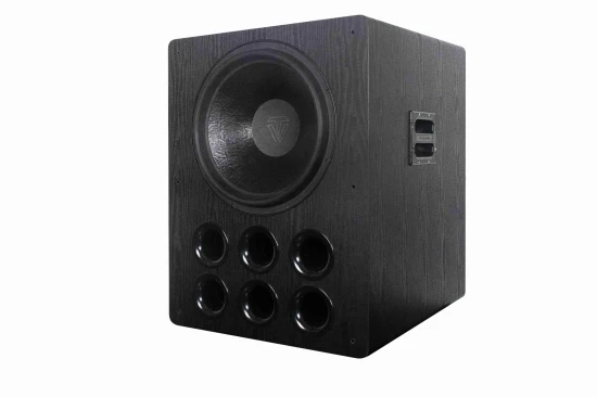 Subwoofer tonewinner sw-d9000