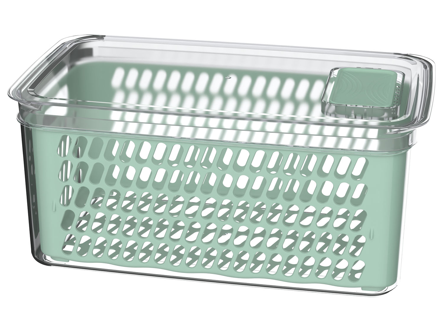 Ernesto Pojemnik do przechowywania żywności w lodówce, 1 sztuka lub 1 zestaw Duży