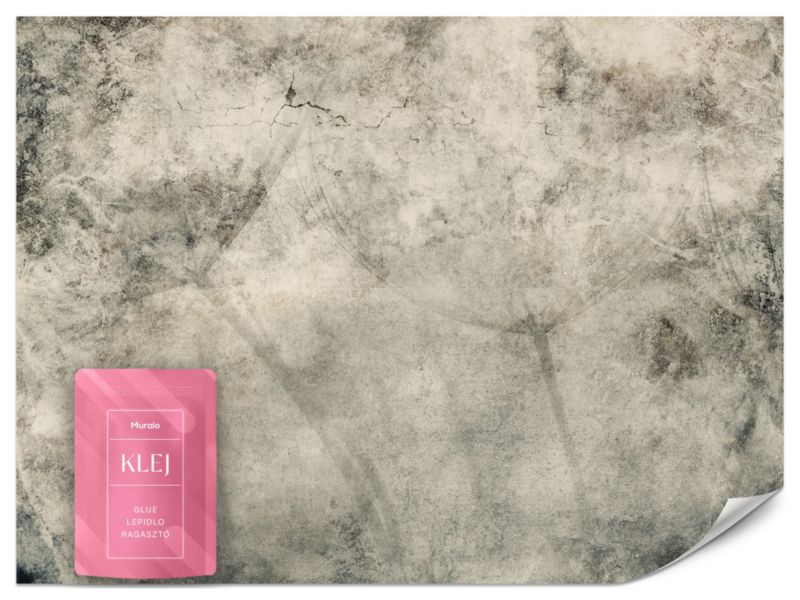 Fototapeta Muralo Mniszek Lekarski na Betonie 400x280 cm 1szt.