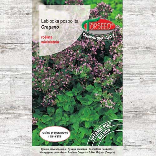 1 szt, Oregano (Lebiodka pospolita), nasiona - Nasiona: Ilość w opakowaniu: 0.2 g