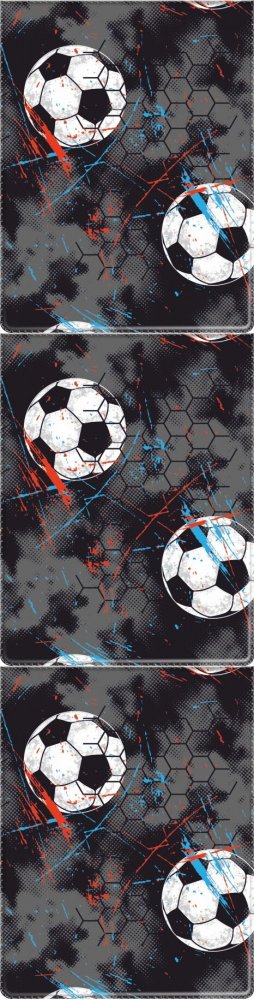 3x Etui na dowód, legitymację, kartę płatniczą, kartę rowerową Biurfol Piłki