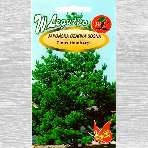 1 pac, Pin negru japonez - Semințe: Mod de ambalare: 0.3 g