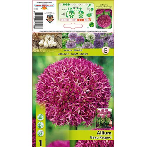 1 buc, Allium Beau Regard - Bulbi: Mod de ambalare: 1 buc