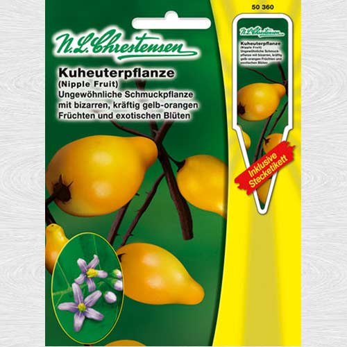 1 pac, Flori de vară Blue Garden, mix multicolor - Semințe: Mod de ambalare: 1 pac