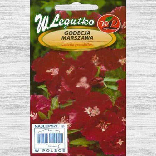 1 pac, Godetia roșie Legutko - Semințe: Mod de ambalare: 1 g