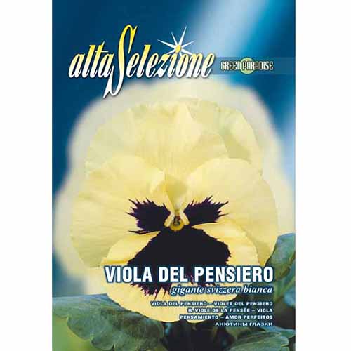 1 pac, Panseluțe Swiss Giant albe - Semințe: Mod de ambalare: 0.4 g