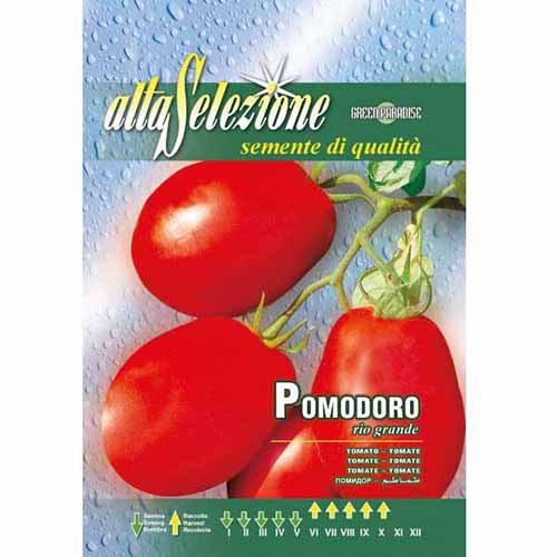 1 szt, Paradicsom Rio Grande - Magok: Mod de ambalare: 1 db
