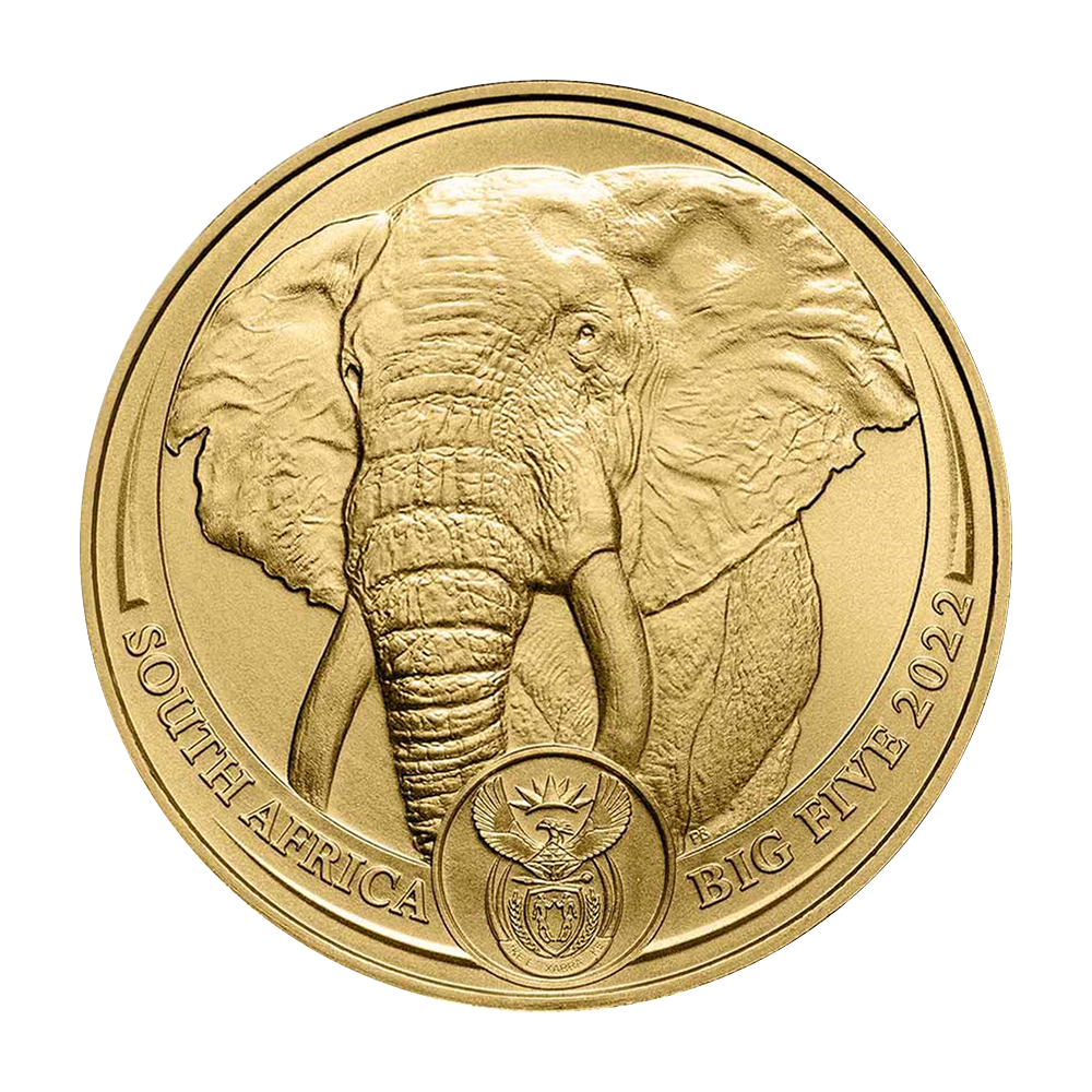 Złota moneta Big Five: Słoń 1 uncja - wysyłka 24 h! - Mennica Skarbowa