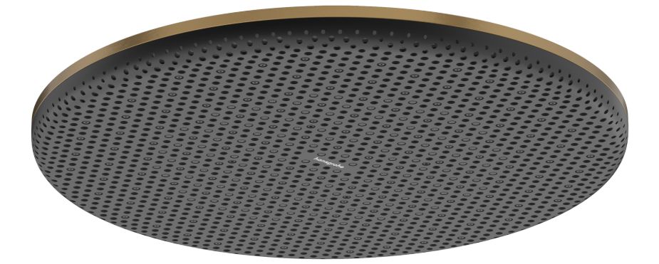 Hansgrohe Raindance Alive S deszczownica 30 cm okrągła brąz szczotkowany 24520140