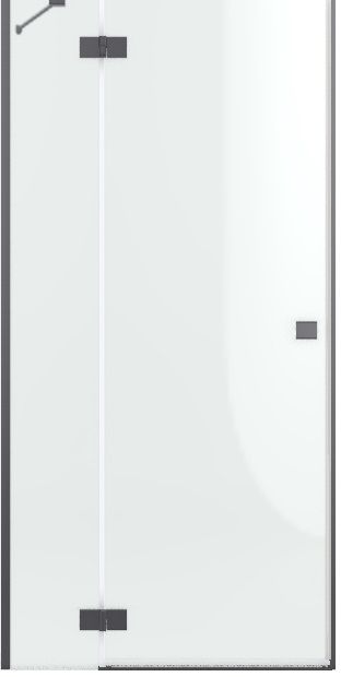 Darmowa Dostawa - Drzwi prysznicowe 120 cm uchylne szczotkowany/szkło przezroczyste Radaway Essenza DWJ 13850169201L