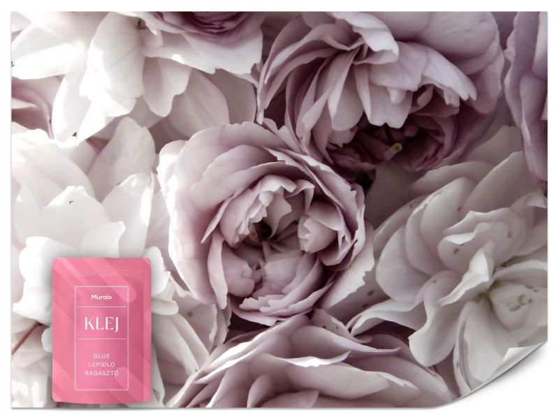 Fototapeta Muralo Pastelowe Kwiaty Natura Przyroda Do Sypialni Nowoczesny 200x140 cm 1szt.