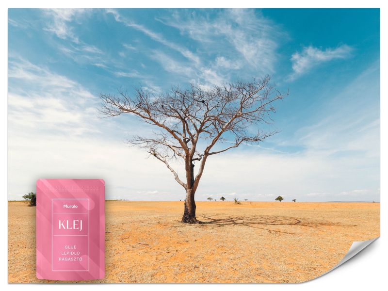 Fototapeta Muralo Drzewa Na Pustyni Natura Do Sypialni 450x315 cm 1szt.