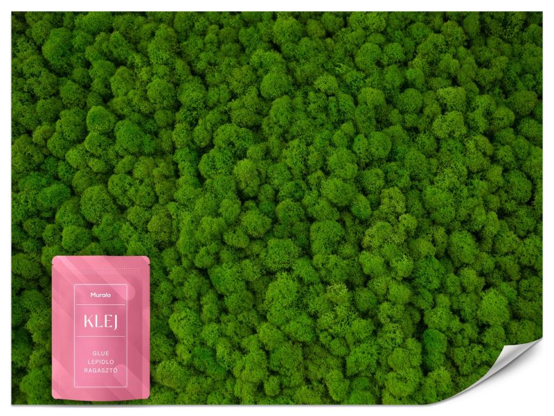 Fototapeta Muralo Dekoracyjny Mech 200x140 cm 1szt.