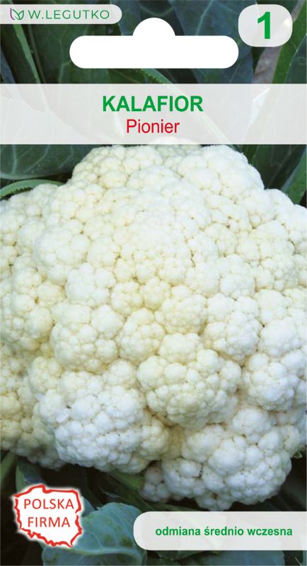 Nasiona kalafior Pionier
