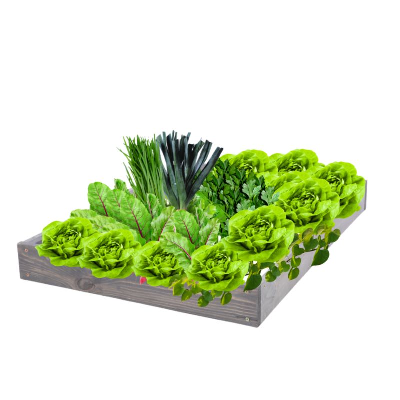 Skrzynia warzywna MODO24 regulowana inspekt 9x90x80 cm szare impregnowane drewno 1 szt