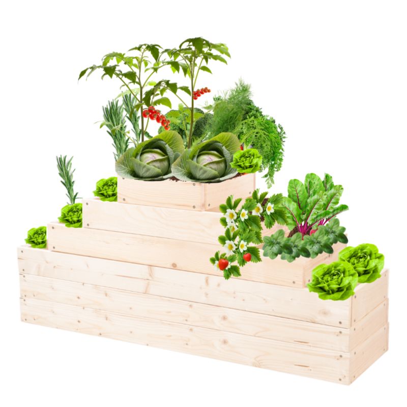 Grządka warzywna MODO24 regulowana inspekt 54x117x30 cm naturalne drewno 1 szt