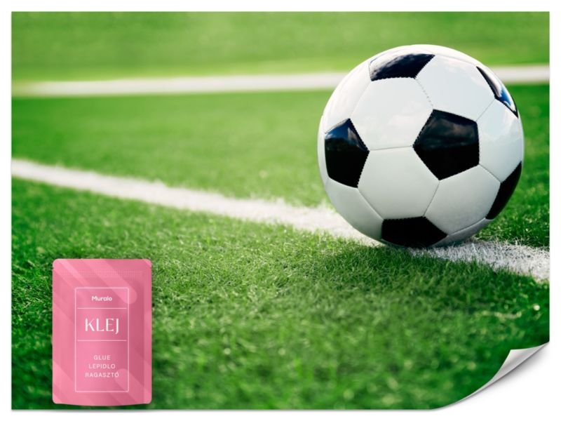 Fototapeta Muralo Piłka Nożna Sport Do Pokoju Młodzieżowego 400x280 cm 1szt.