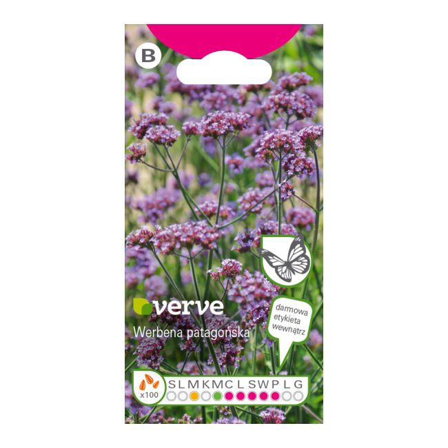 Nasiona werbena patagońska Verve