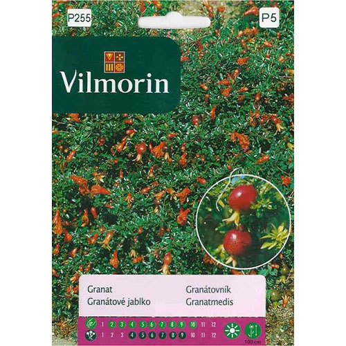 1 szt, Granat, nasiona Vilmorin - Nasiona: Ilość w opakowaniu: 30 szt