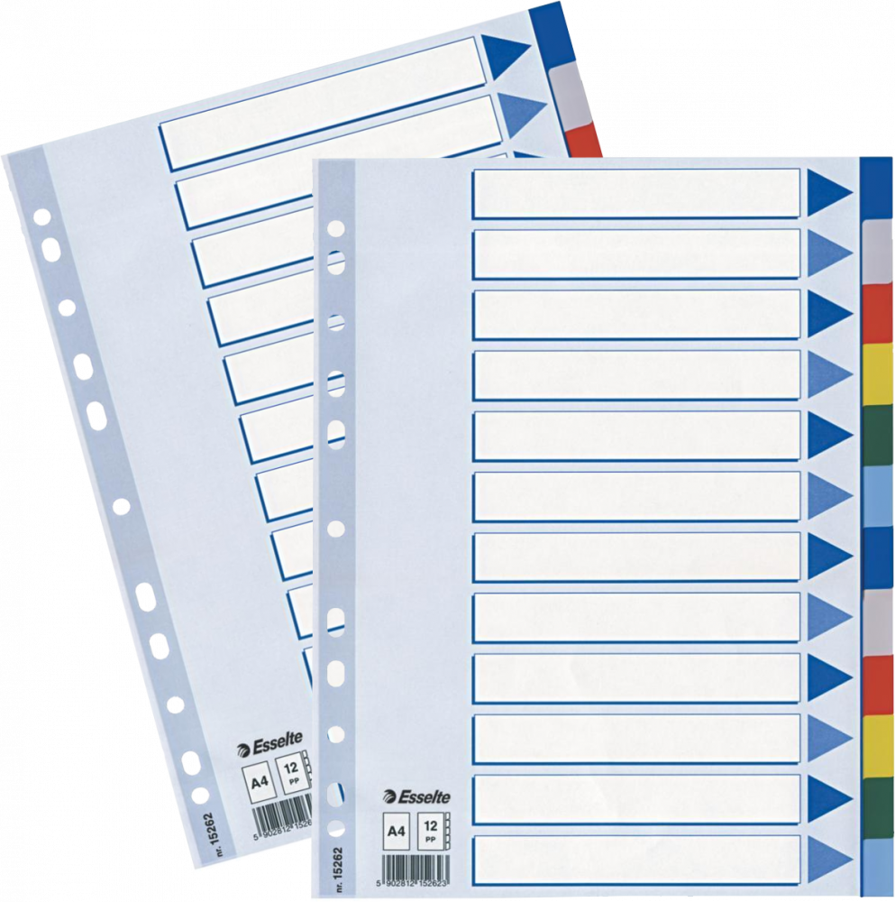 2x Przekładki do segregatora Esselte, plastikowe, A4,12 kart, mix kolorów