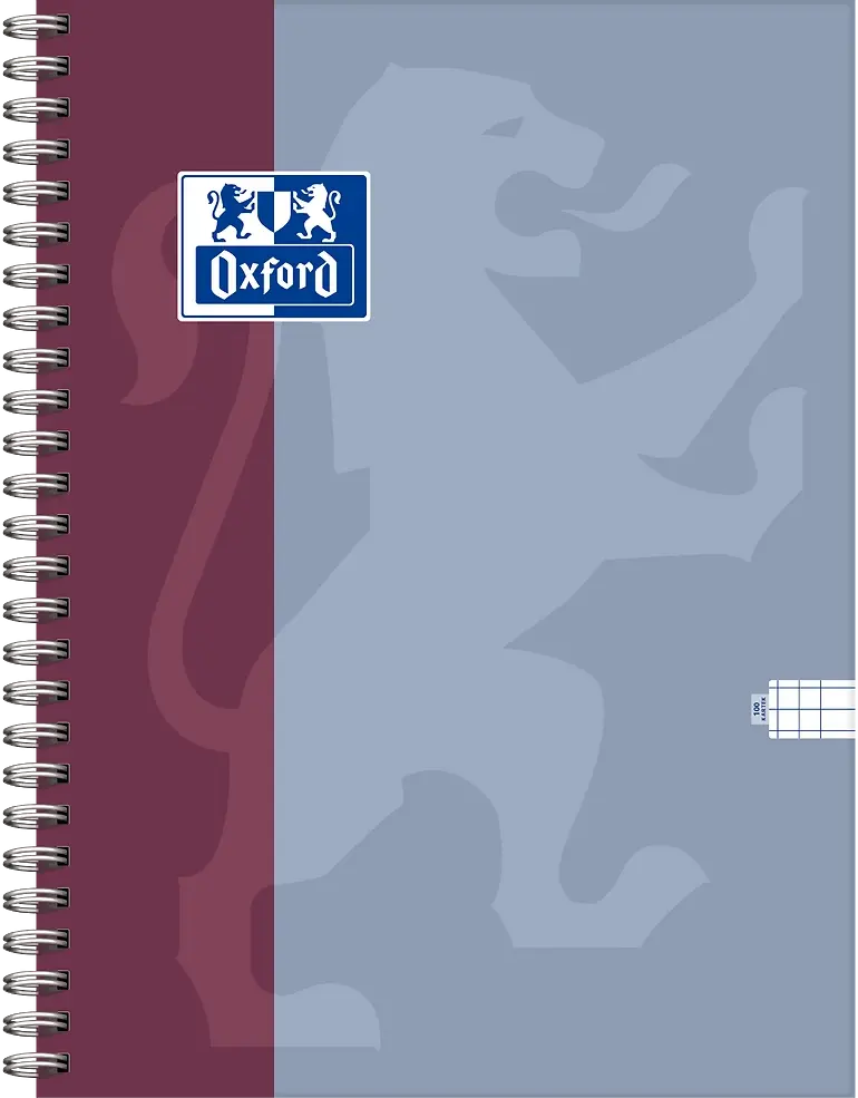 Kołonotatnik Oxford B-You, B5, w kratkę, 100 kartek, mix kolorów