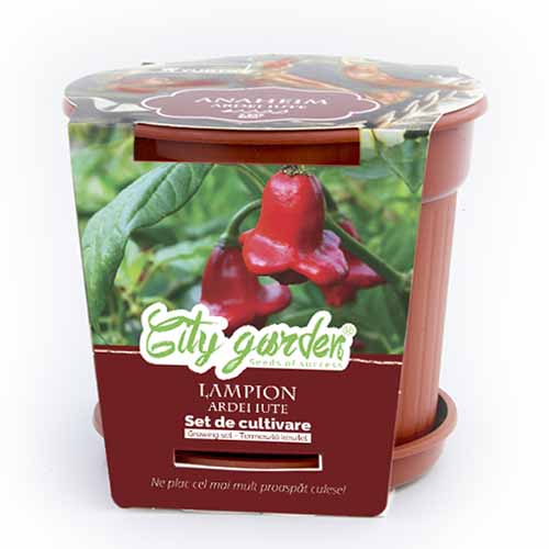 1 pac, Set de cultivare - Ardei iute Chilli Lampion - Semințe: Mod de ambalare: 1 pac