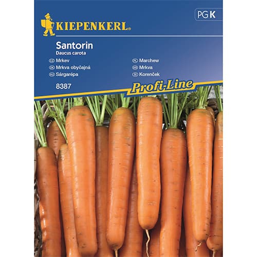 1 szt, Sárgarépa Santorin F1 - Magok: Mod de ambalare: 1 db