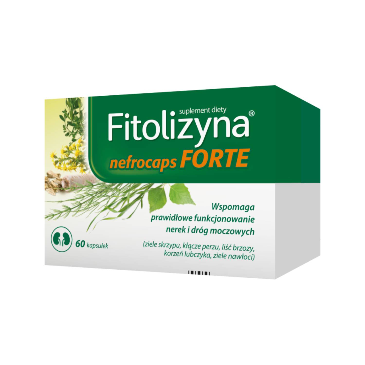 Fitolizyna nefrocaps forte, 60 kapsułek