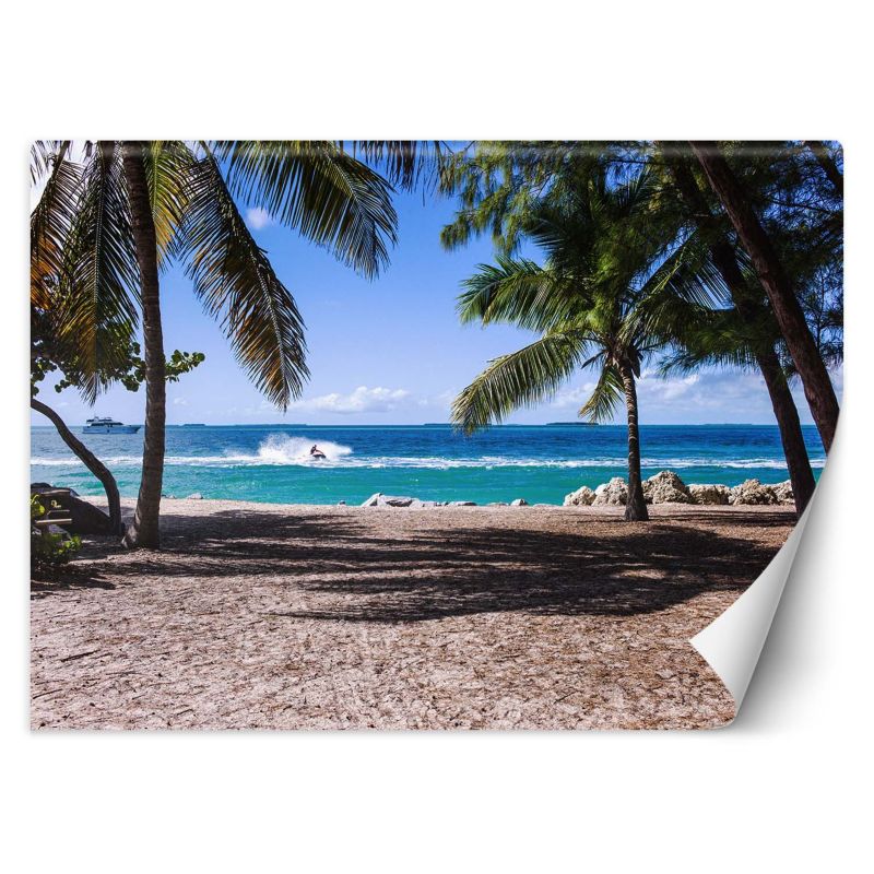 Fototapeta Feeby Piaszczysta plaża pomiędzy palmami 350x245 1 szt