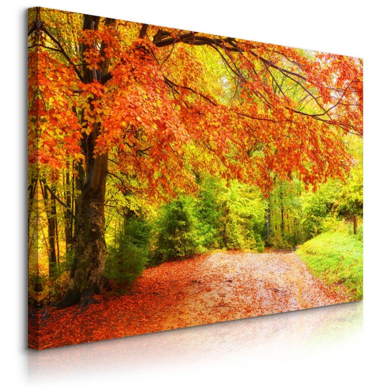 Obraz Muralo Na Płótnie Jesienny Las Natura 70x50 cm 1 szt.