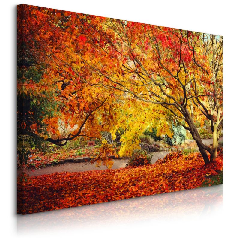 Obraz Muralo Na Płótnie Złota Jesień Drzewa Natura Przyroda Do Salonu 40x30 cm 1 szt.