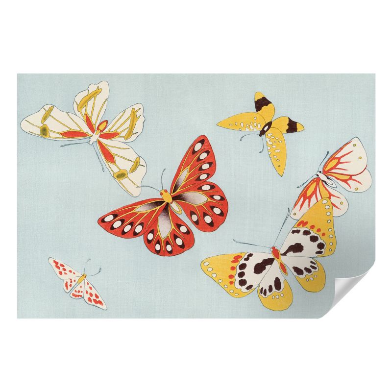 Fototapeta samoprzylepna Wallfluent 152x104 cm Motyle artystyczne Dla Miłośników Przyrody I Entomologii 1 szt.