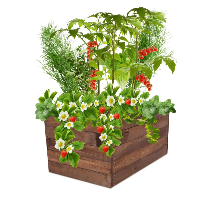 Inspekt warzywny MODO24 grządka podwyższona brązowa impregnacja 45x103x60 cm 1 szt.