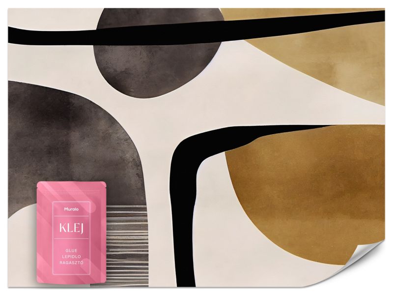 Fototapeta Muralo Kształty w Stylu Retro 300x210 cm 1szt.