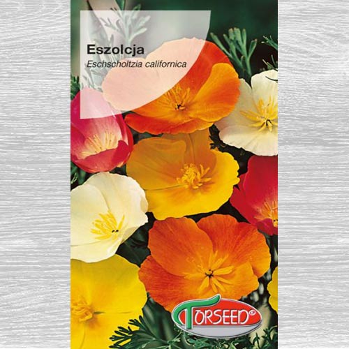 1 szt, Maczek kalifornijski (Eszolcja), mieszanka - Nasiona: Ilość w opakowaniu: 1 g