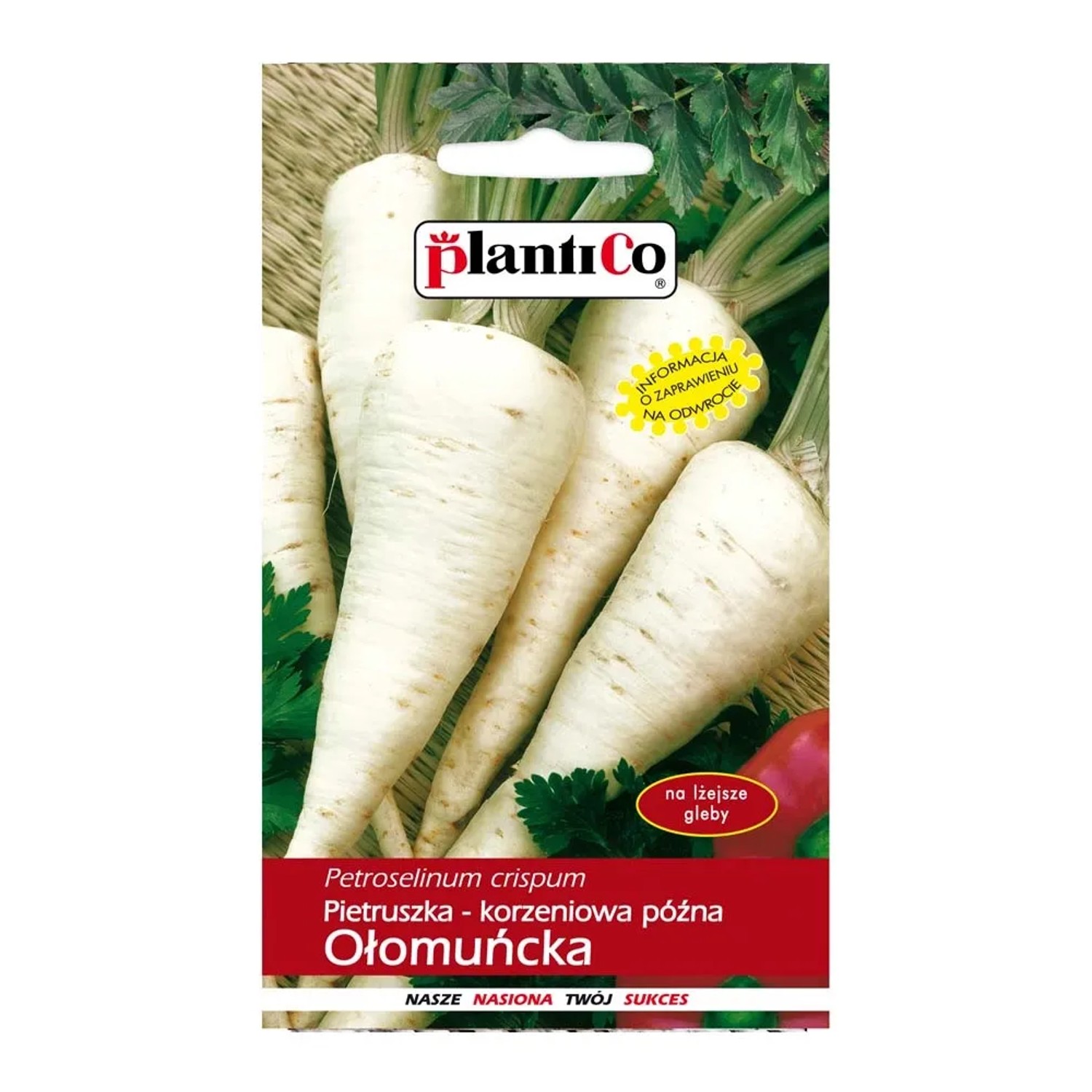 Pietruszka korzeniowa Ołomuńcka