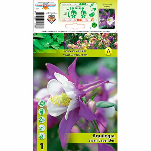 1 db, Harangláb (Aquilegia) Swan Lavender - Évelő: Mod de ambalare: 1 db