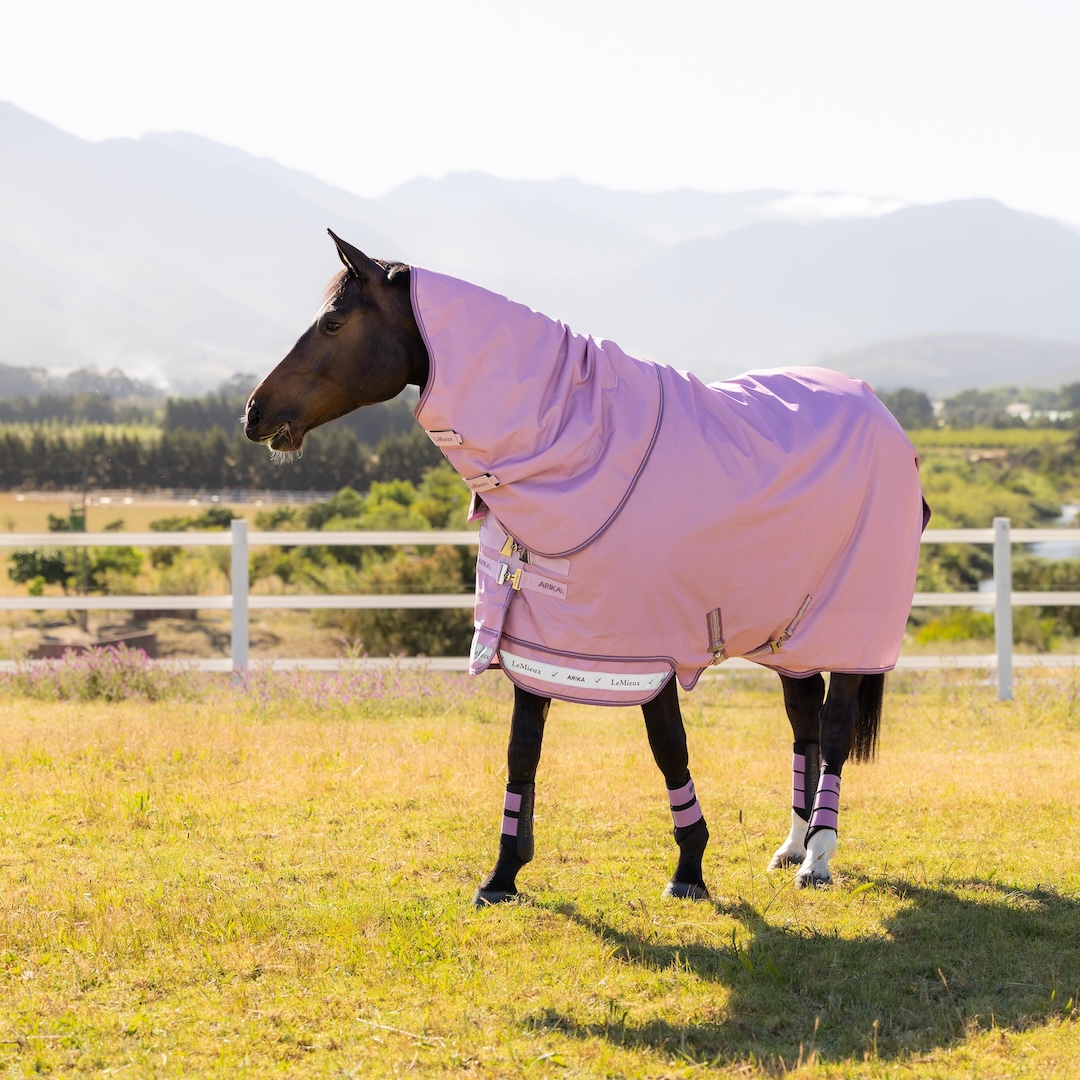 LeMieux Arika Ripstop Fondant derka padokowa z kapturem 0g