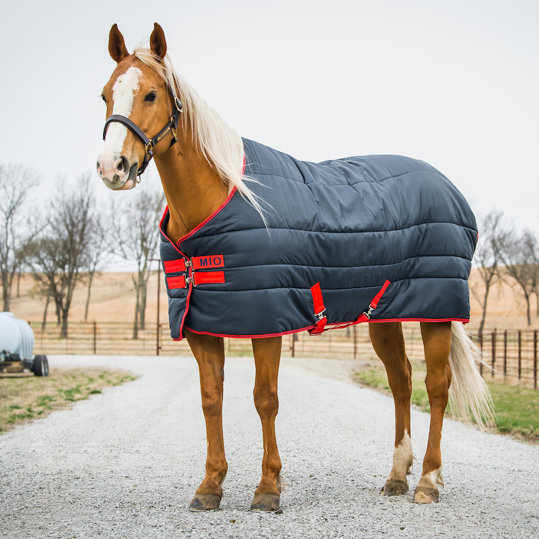 Horseware derka stajenna Mio Insulator 150g 24h